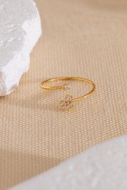 Anillo - Elissa doble