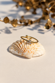 Anillo - Elissa