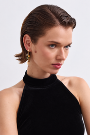 Aretes - Ave