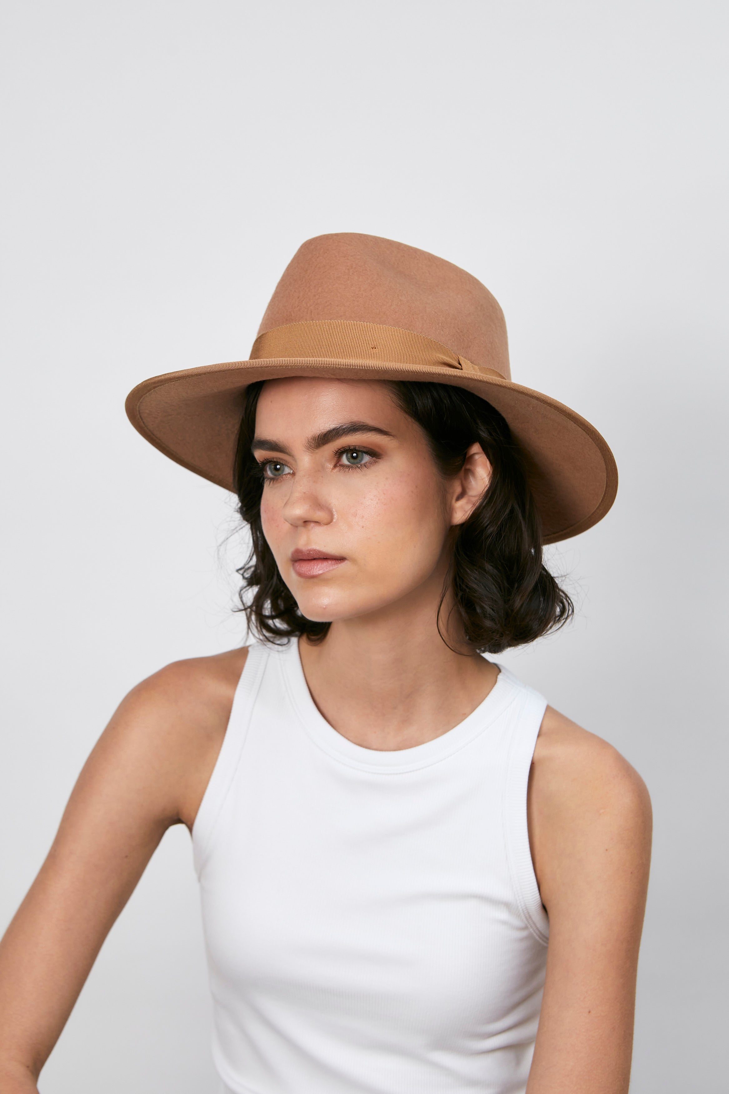Alina - Camel