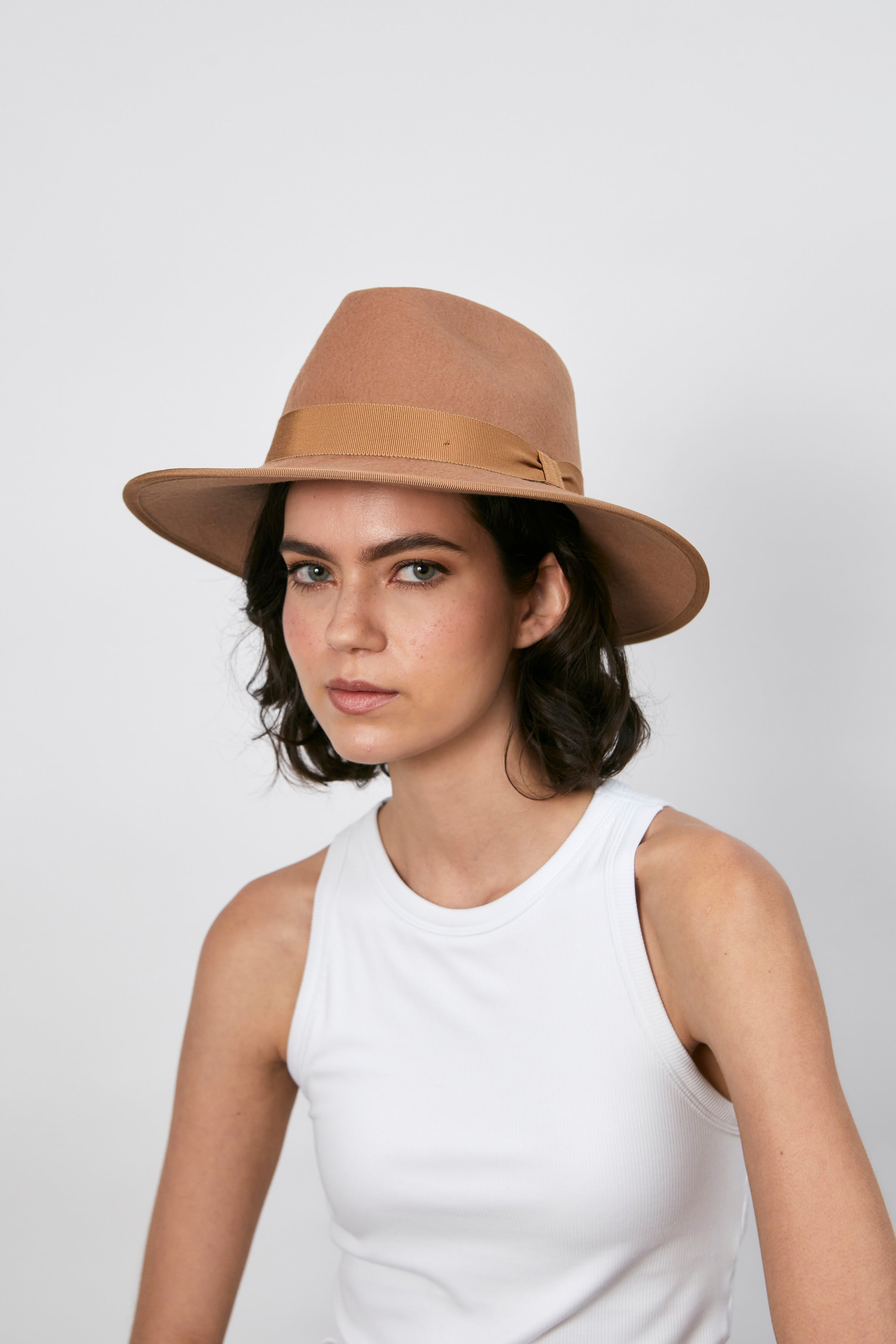 Alina - Camel