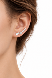 Aretes - Nova Plateado