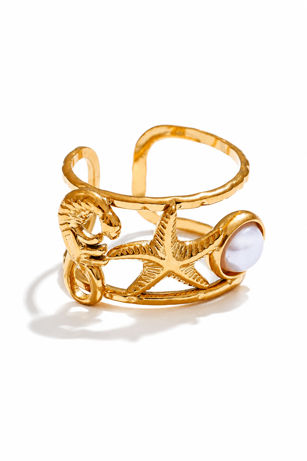 Anillo Marina