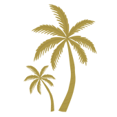 PALMERAS_6395eab7-de95-4a16-b249-fc5804260b95.png