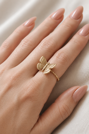 Anillo - Posa