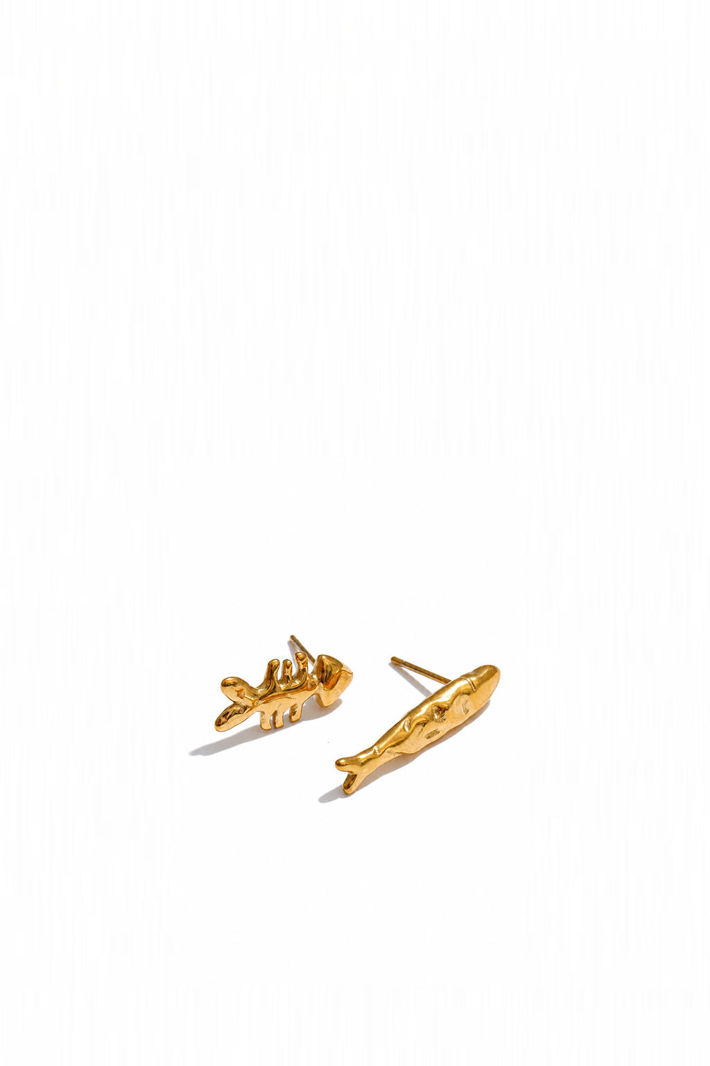 Aretes - Sardine