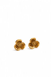 Aretes - Saria