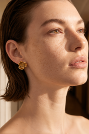 Aretes - Saria