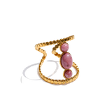Anillos